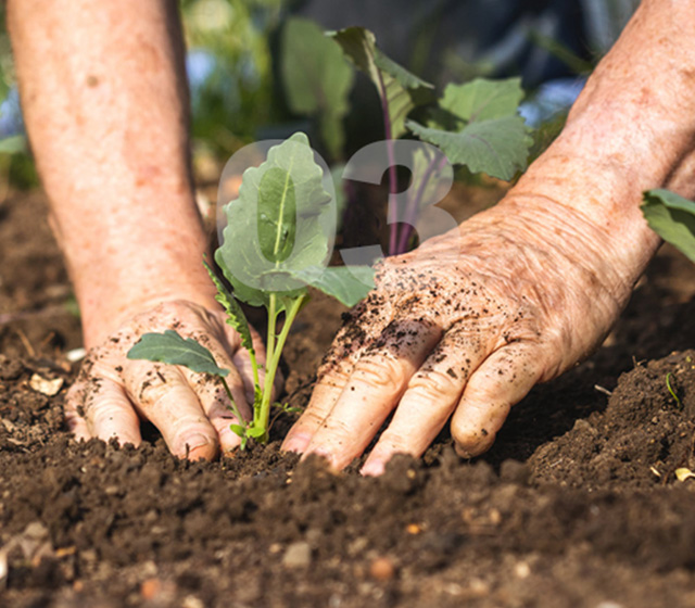 Acondicionador de Suelos