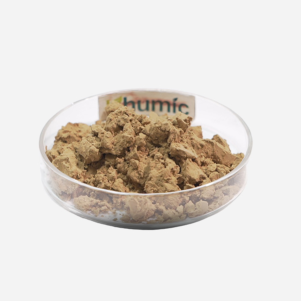 Alginato de oligosacáridos