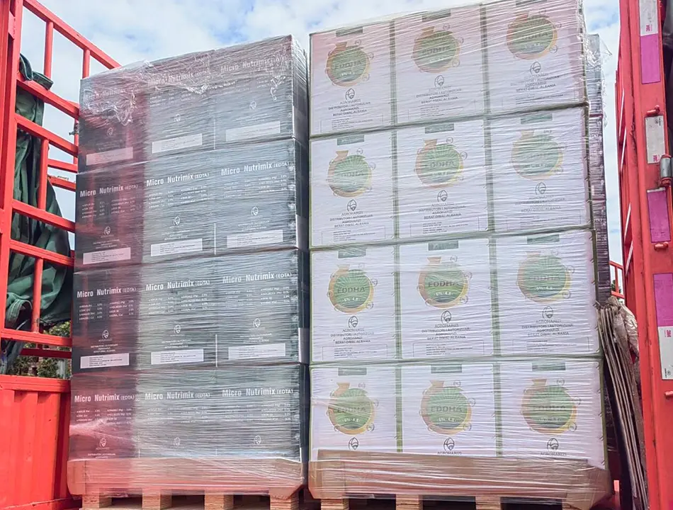KHUMIC: -- Liderando el camino en la innovación Humic